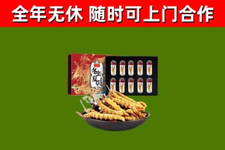 蕉岭县回收冬虫夏草价格
